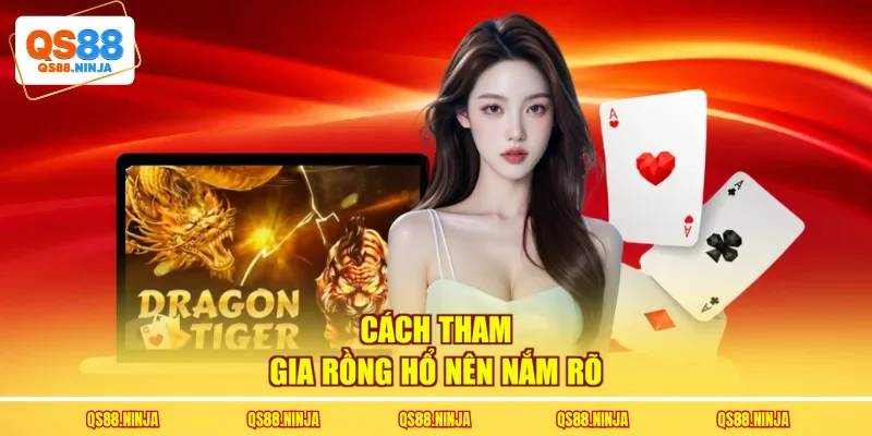 Cách tham gia Rồng Hổ nên nắm rõ