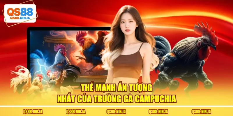 Thế mạnh ấn tượng nhất của trường gà Campuchia